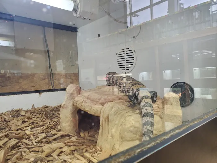 Reptile Room Picture 6