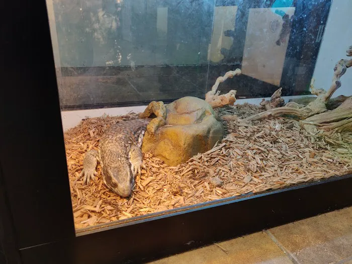 Reptile Room Picture 5