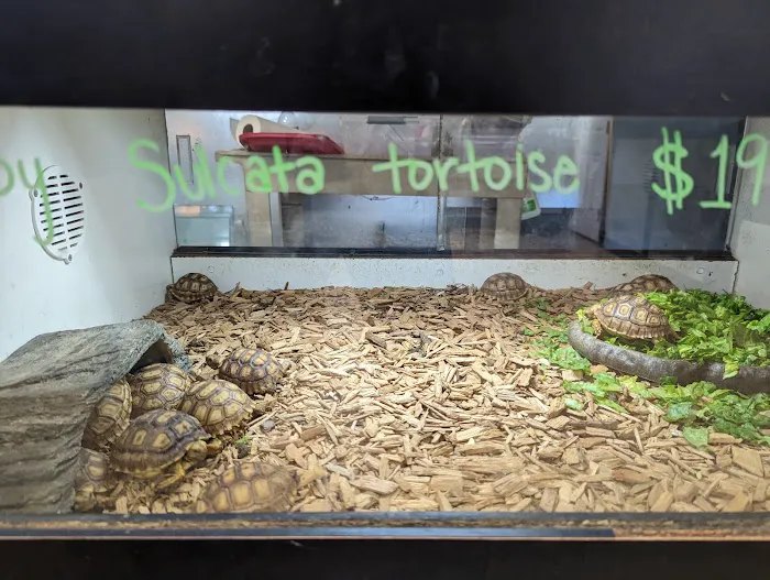 Reptile Room Picture 7