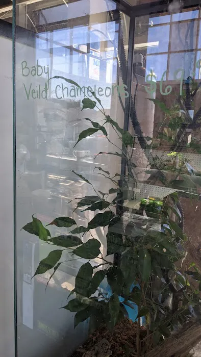 Reptile Room Picture 8