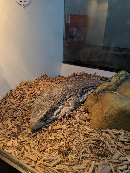 Reptile Room Picture 10
