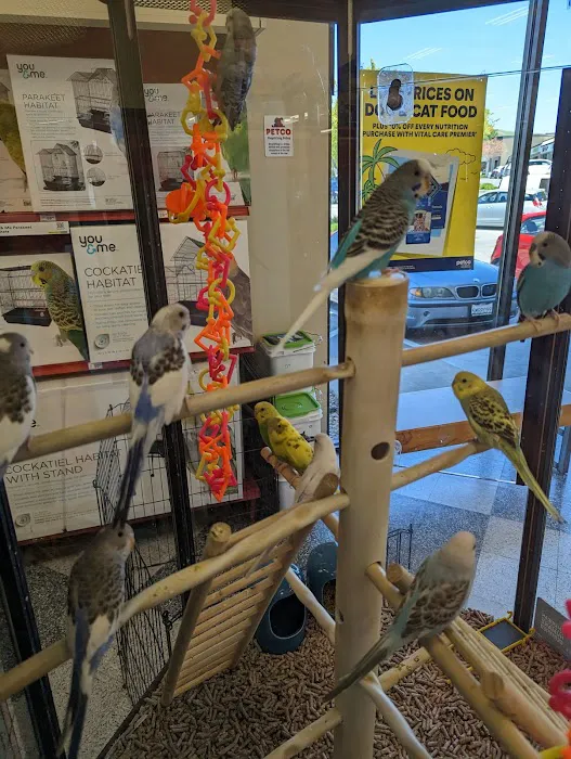 Petco Picture 4