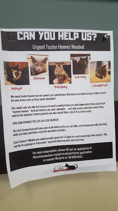 VCA Rotherwood Animal Hospital Picture 4