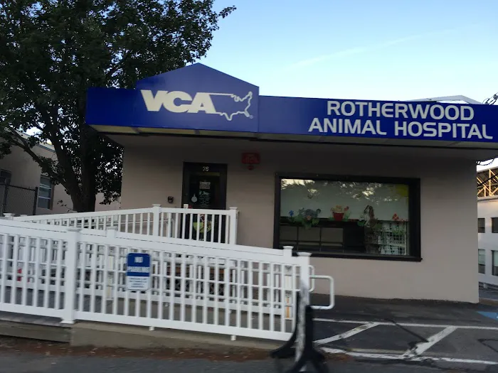 VCA Rotherwood Animal Hospital Picture 3