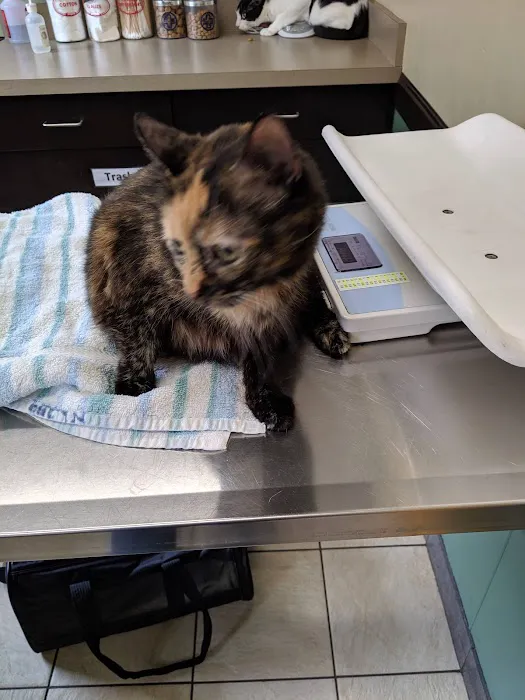 VCA Rotherwood Animal Hospital Picture 5
