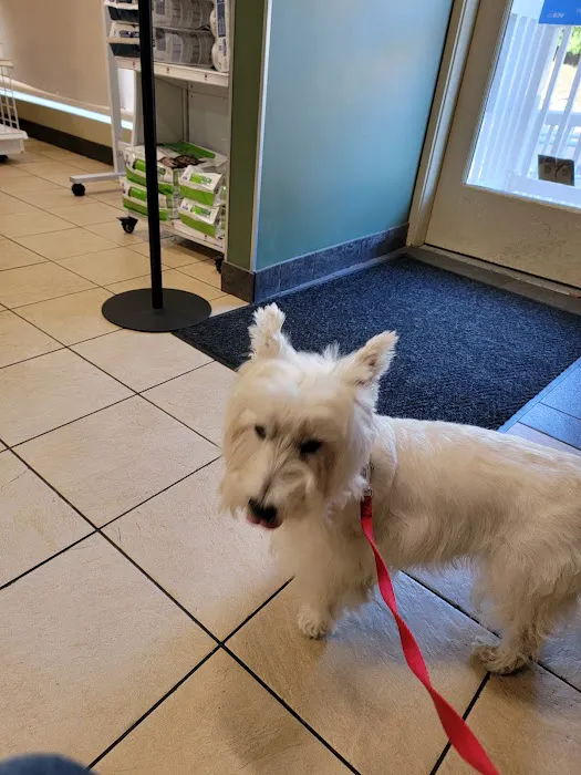 VCA Rotherwood Animal Hospital Picture 7