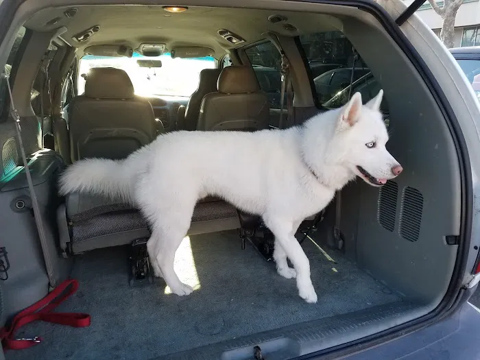 Unleashed by Petco Picture 6