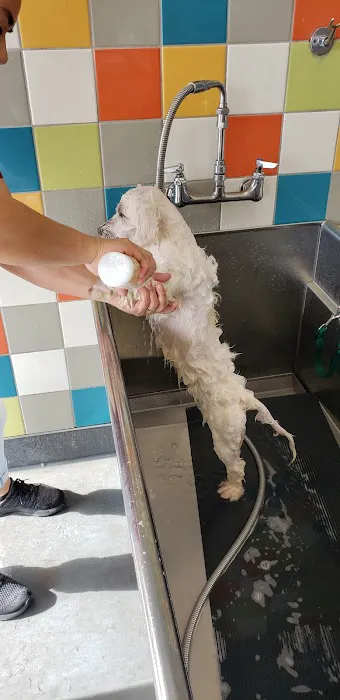 Unleashed by Petco Picture 5