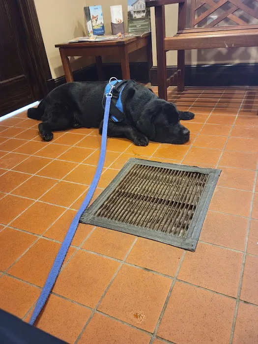 West Roxbury Animal Hospital Picture 1