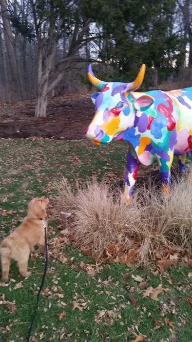 Weston Veterinary Clinic, A Thrive Pet Healthcare Partner Picture 4