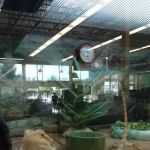 Petco