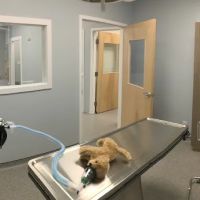 Powder Mill Animal Hospital ico