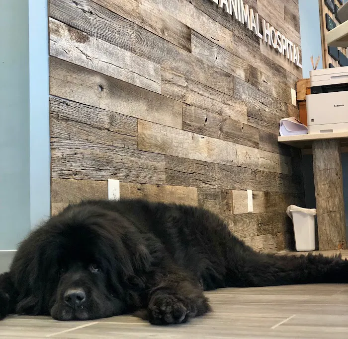 Powder Mill Animal Hospital Picture 9