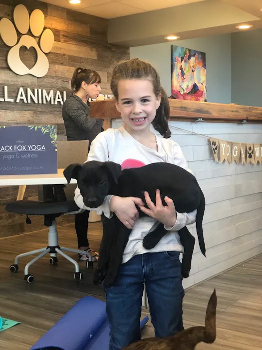 Powder Mill Animal Hospital Picture 6