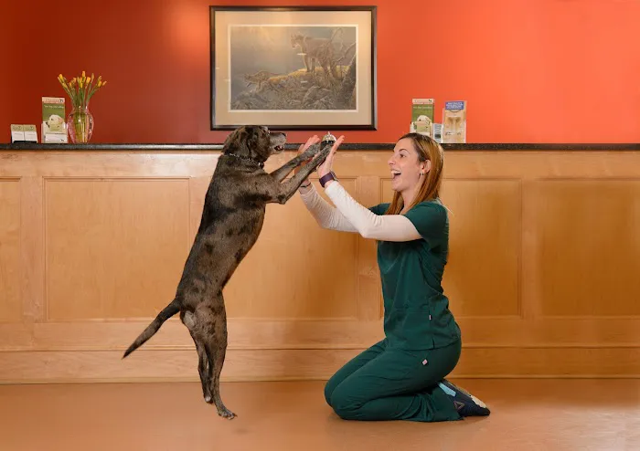 West Concord Animal Clinic Picture 3