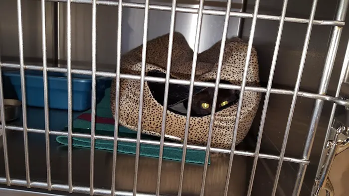 West Concord Animal Clinic Picture 1