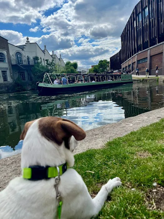 West Concord Animal Clinic Picture 2