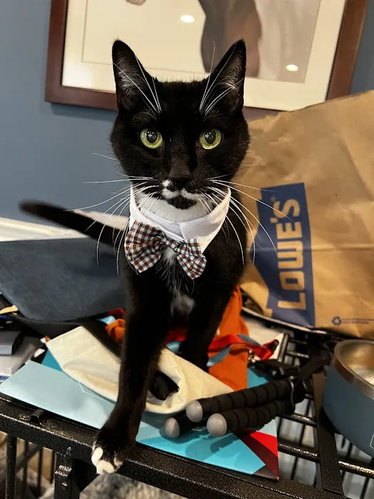 West Concord Animal Clinic Picture 5