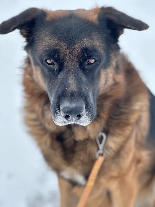 West Concord Animal Clinic Picture 8