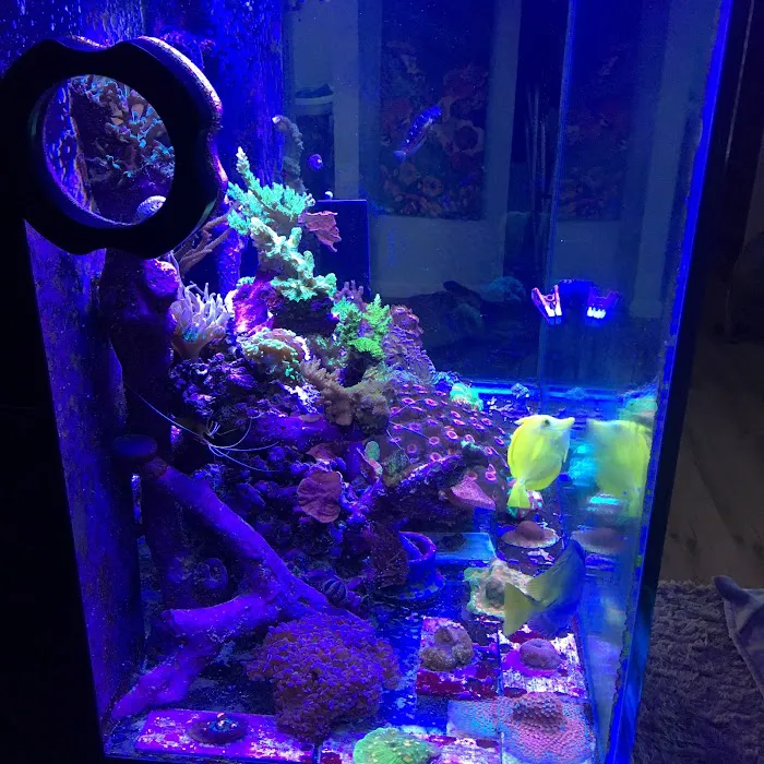 Fish Doctor Picture 4