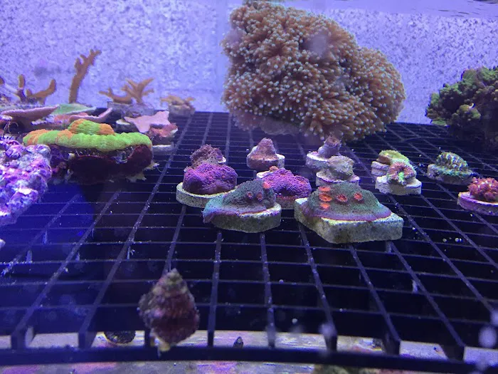 Fish Doctor Picture 7