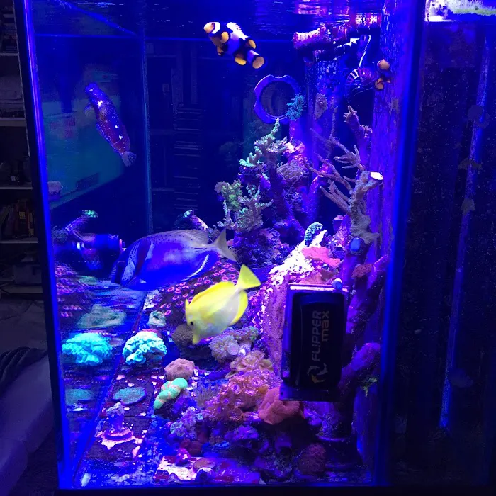 Fish Doctor Picture 8