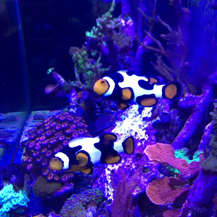 Fish Doctor Picture 10