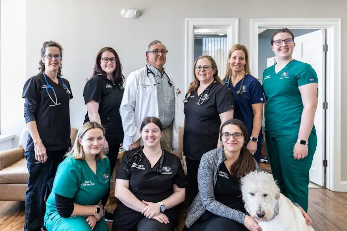 Great Road Veterinary Hospital Picture 2