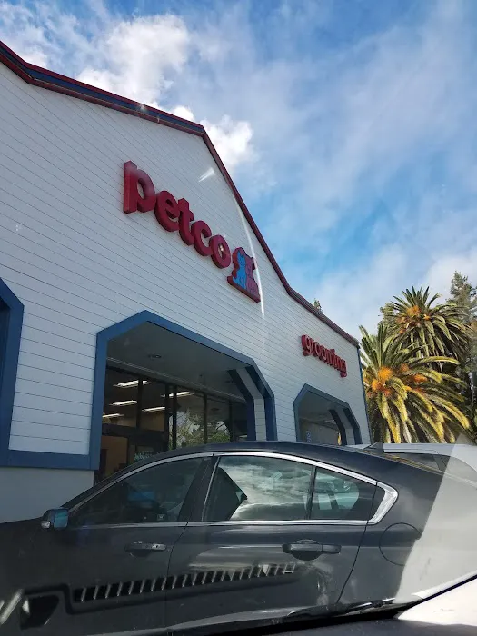 Petco Picture 3