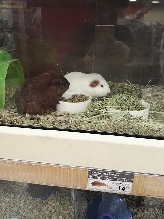 Petco Picture 6