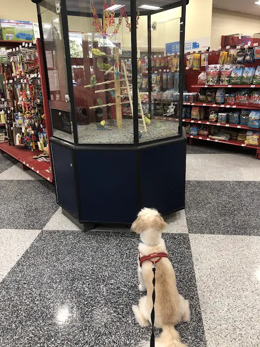 Petco Picture 8