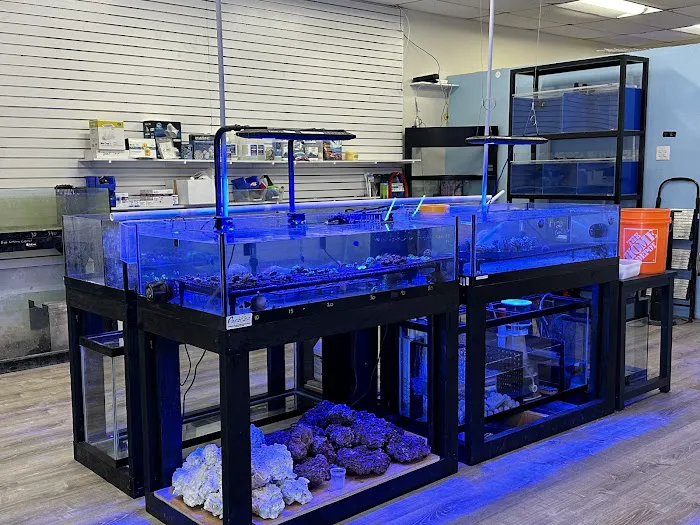 Gio Marine Picture 3