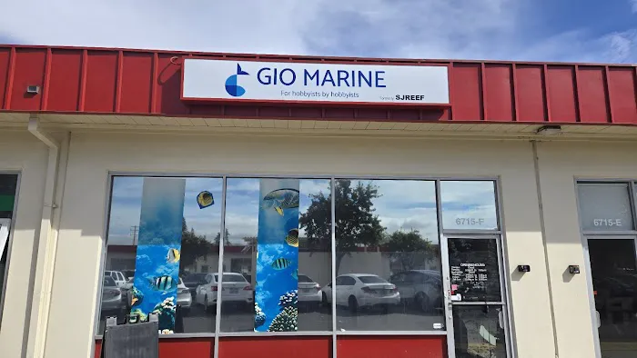 Gio Marine Picture 2