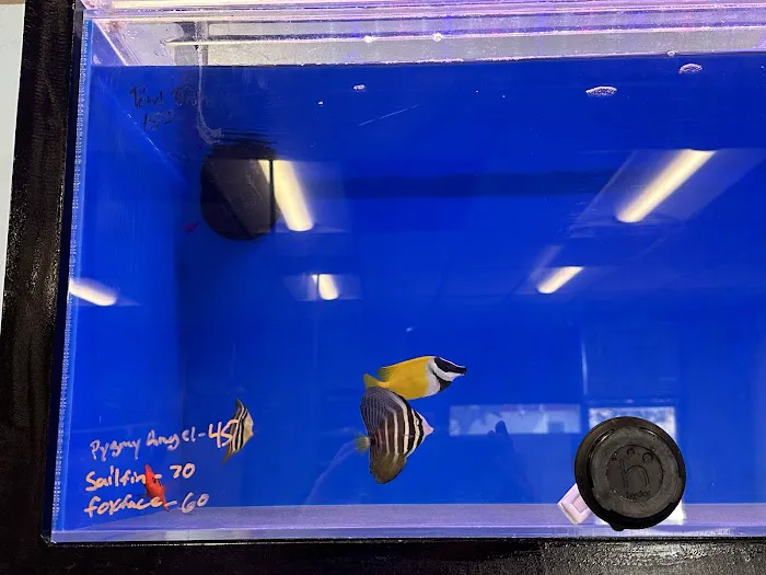 Gio Marine Picture 6