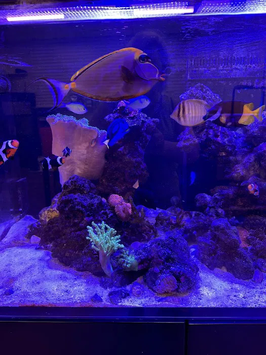 Gio Marine Picture 5