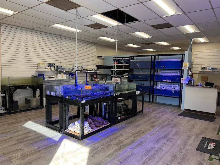 Gio Marine Picture 4