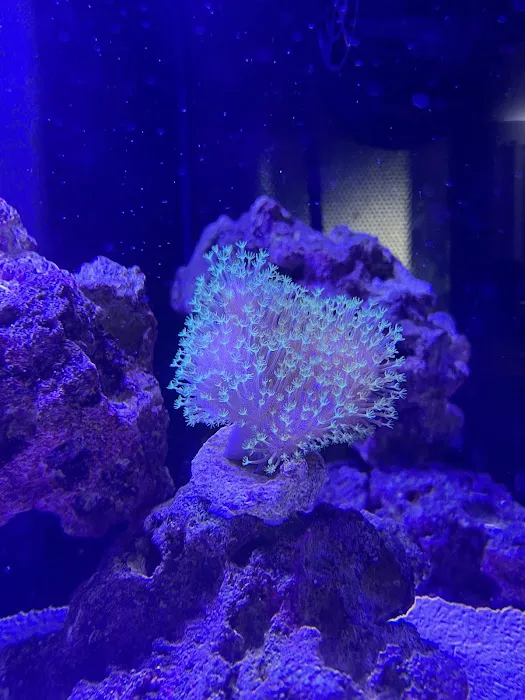 Gio Marine Picture 9