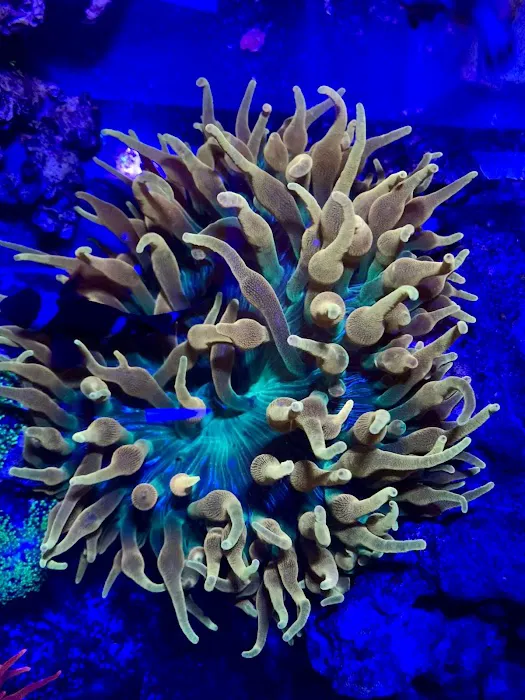 Gio Marine Picture 7