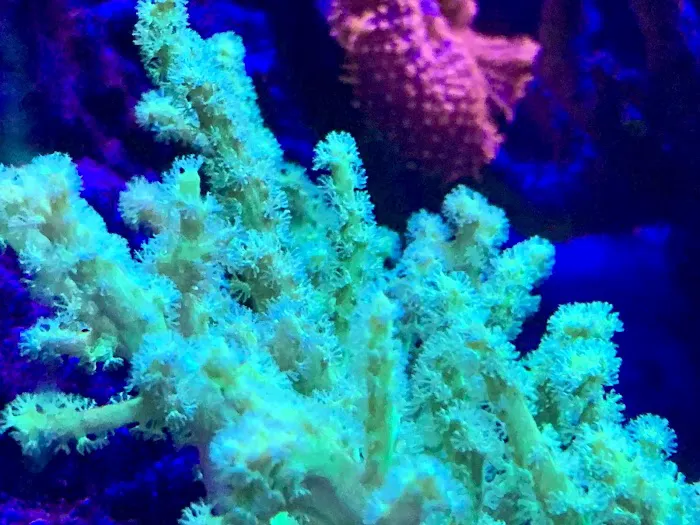 Gio Marine Picture 8