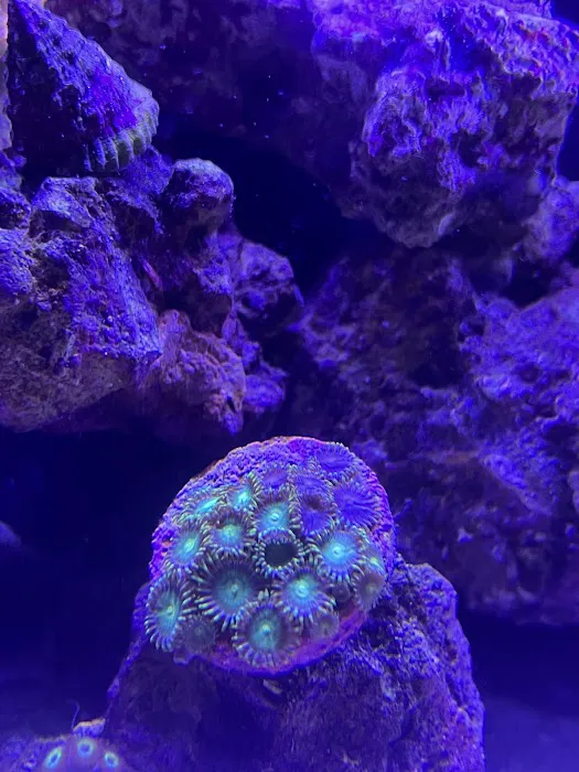 Gio Marine Picture 10