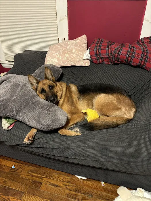 Commonwealth Veterinary Hospital Picture 4