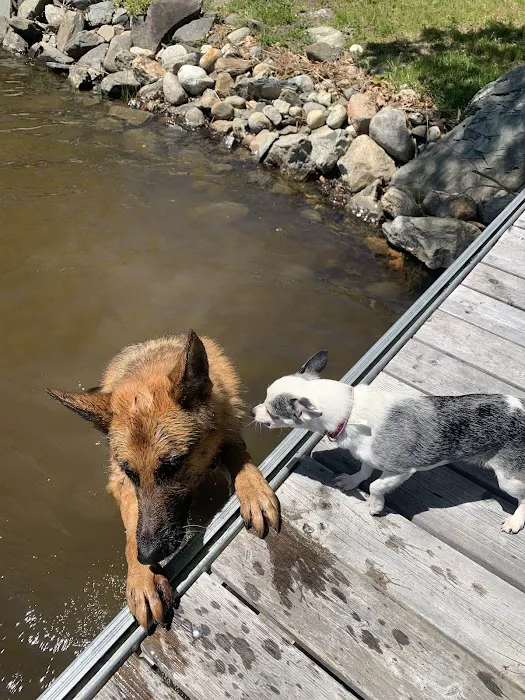 Commonwealth Veterinary Hospital Picture 10