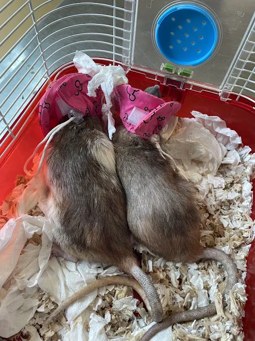 Sager Animal Hospital Inc Picture 4