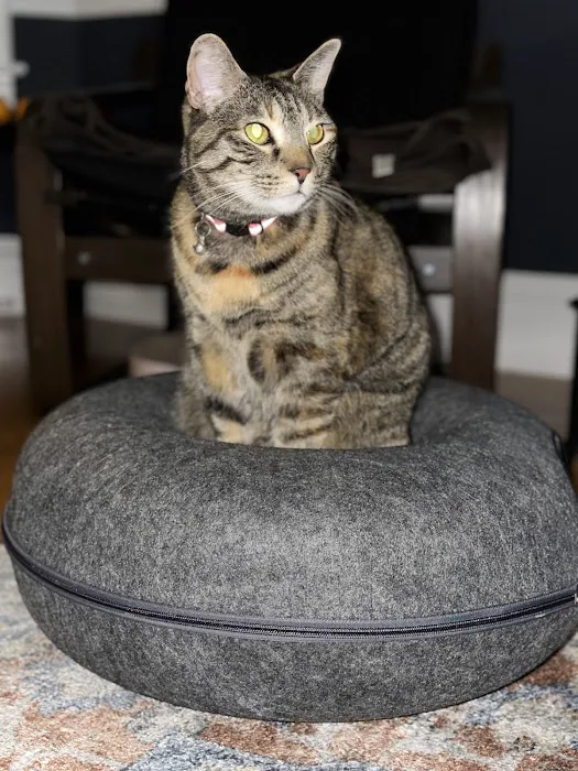 Sager Animal Hospital Inc Picture 2