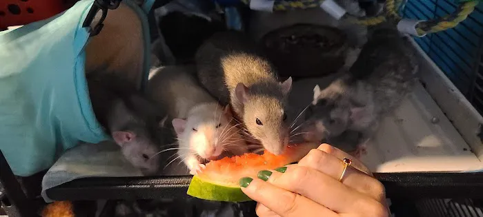 Sager Animal Hospital Inc Picture 6