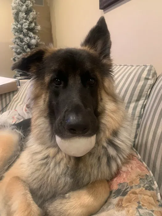 Sager Animal Hospital Inc Picture 7