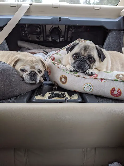 Sager Animal Hospital Inc Picture 8