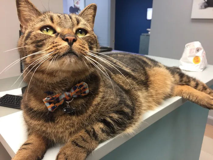 Whole Pet Veterinary Center Picture 3