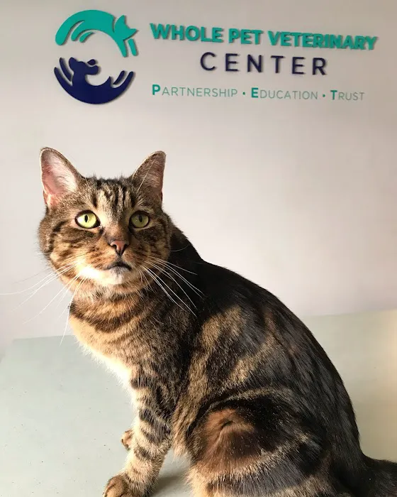 Whole Pet Veterinary Center Picture 6