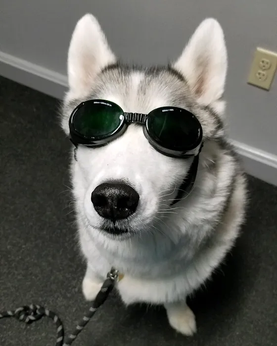 Whole Pet Veterinary Center Picture 8